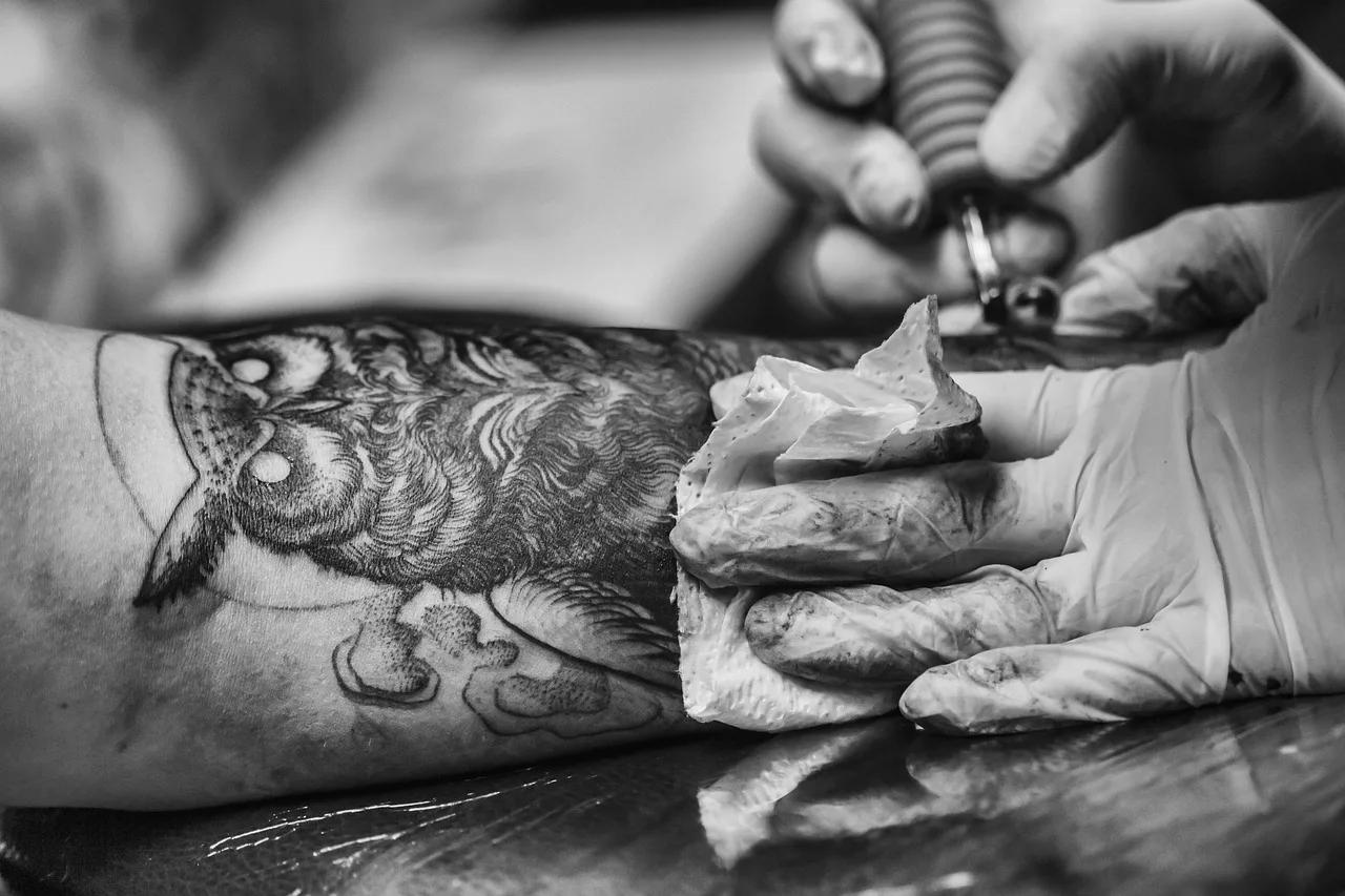 owl, tattoo, bird, decoration, decorative, design, drawing, feather, animal, nature, symbol, tribal, vintage, artist, gray birds, gray design, gray vintage, gray owl, gray drawing. Tattoo studio hiring and training: what the experienced already know